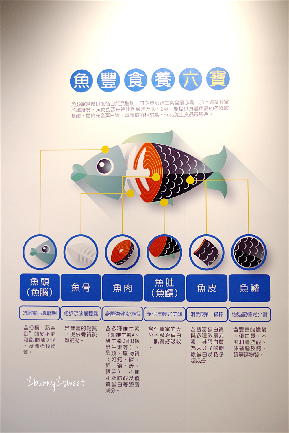 宜蘭蘇澳【安永心食館】吃喝玩樂一次滿足的高科技互動漁樂館、五星級觀光工廠 @兔兒毛毛姊妹花 宜蘭蘇澳【安永心食館】吃喝玩樂一次滿足的高科技互動漁樂館、五星級觀光工廠 @兔兒毛毛姊妹花
