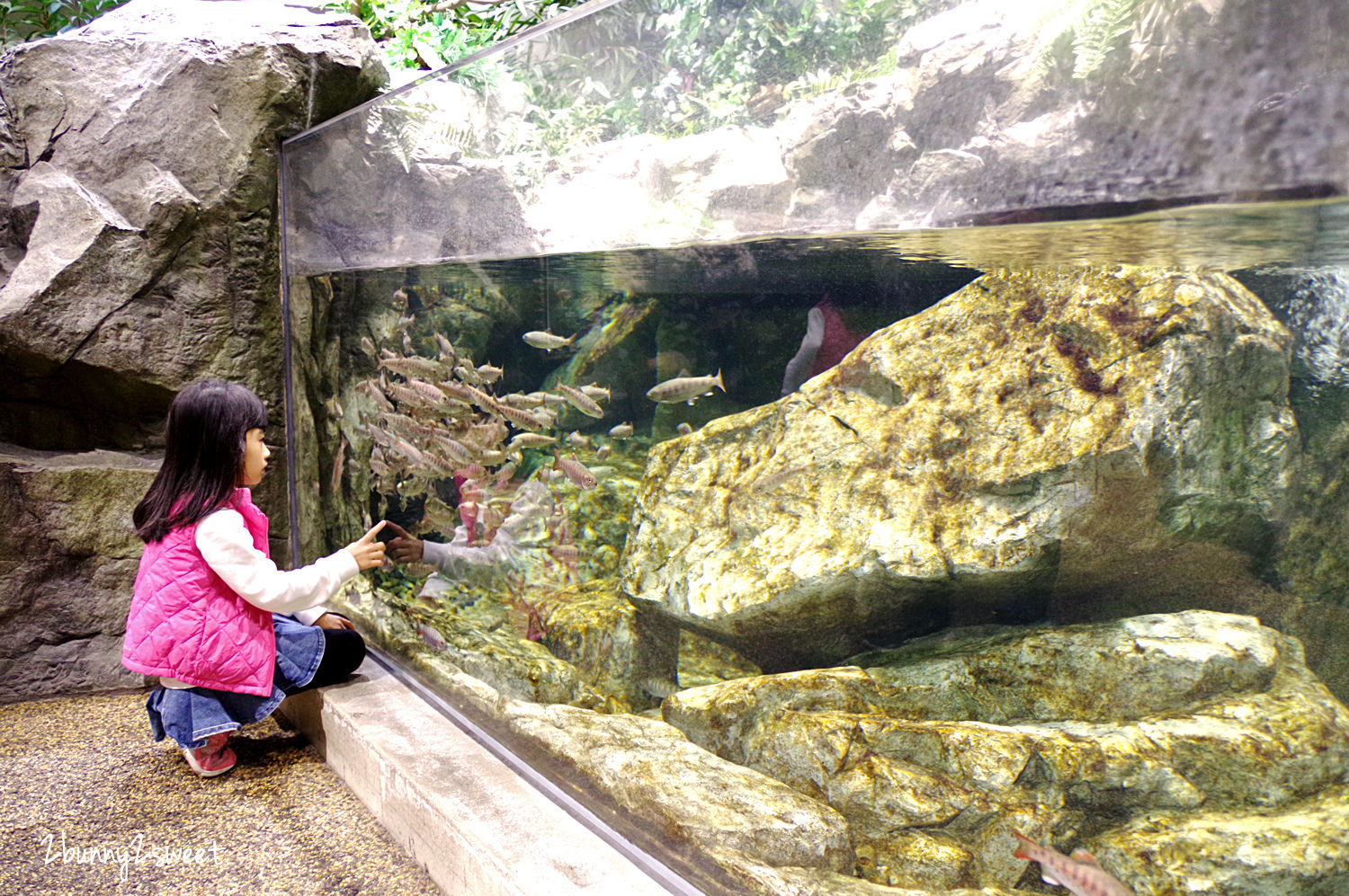 九州大分景點「大分海洋宮殿水族館 海之卵」超酷白色蛋形展覽廳 還能和海洋生物玩在一起 @兔兒毛毛姊妹花 九州大分景點「大分海洋宮殿水族館 海之卵」超酷白色蛋形展覽廳 還能和海洋生物玩在一起 @兔兒毛毛姊妹花