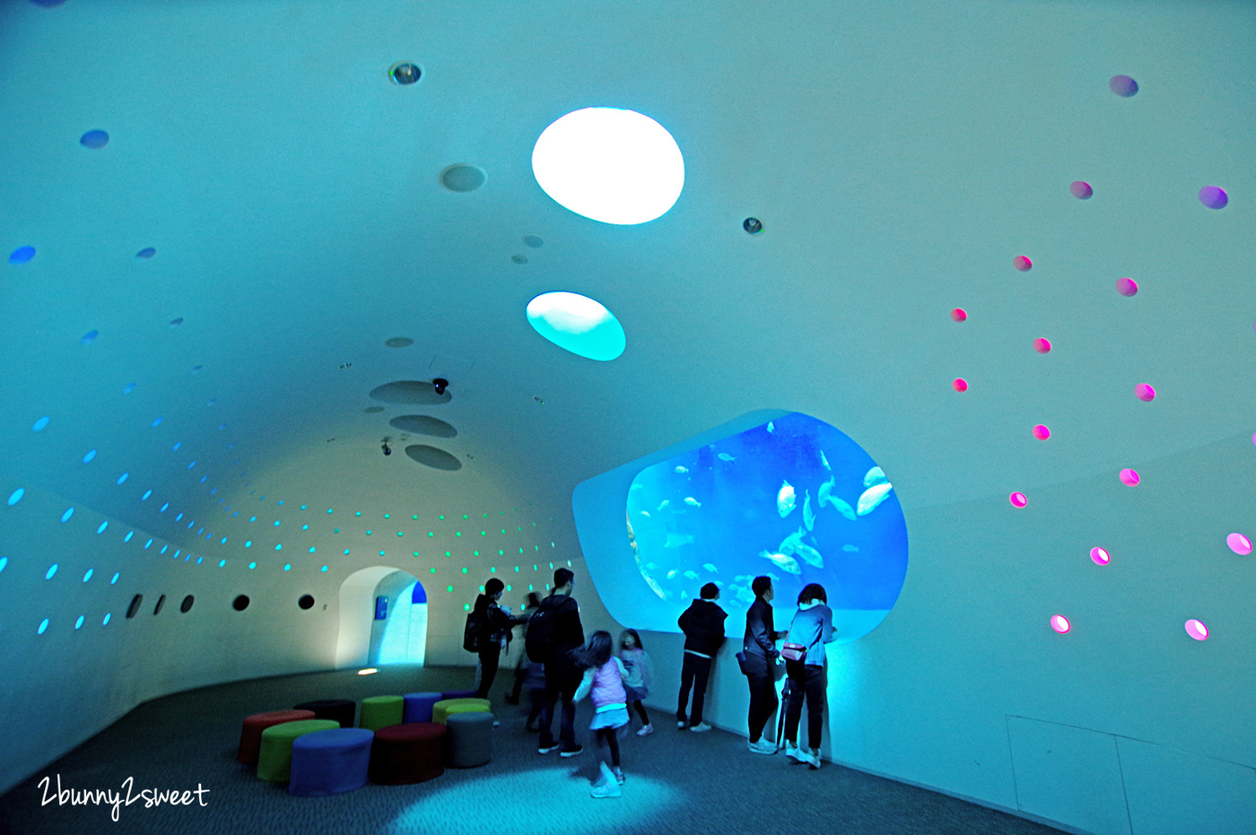 九州大分景點「大分海洋宮殿水族館 海之卵」超酷白色蛋形展覽廳 還能和海洋生物玩在一起 @兔兒毛毛姊妹花 九州大分景點「大分海洋宮殿水族館 海之卵」超酷白色蛋形展覽廳 還能和海洋生物玩在一起 @兔兒毛毛姊妹花