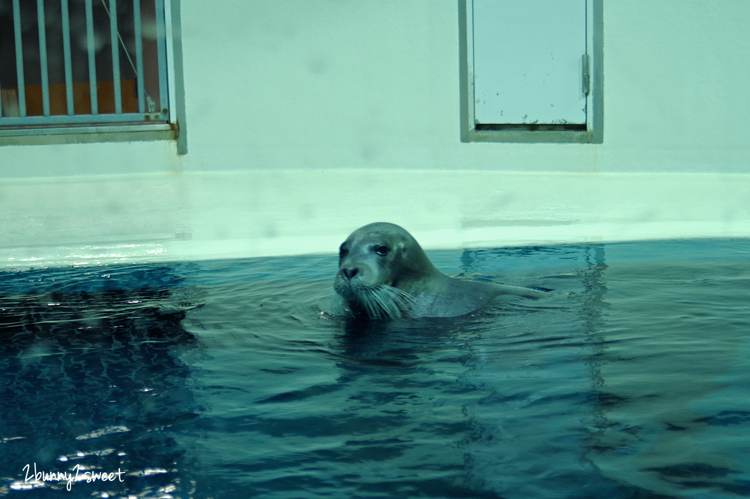 九州大分景點「大分海洋宮殿水族館 海之卵」超酷白色蛋形展覽廳 還能和海洋生物玩在一起 @兔兒毛毛姊妹花 九州大分景點「大分海洋宮殿水族館 海之卵」超酷白色蛋形展覽廳 還能和海洋生物玩在一起 @兔兒毛毛姊妹花