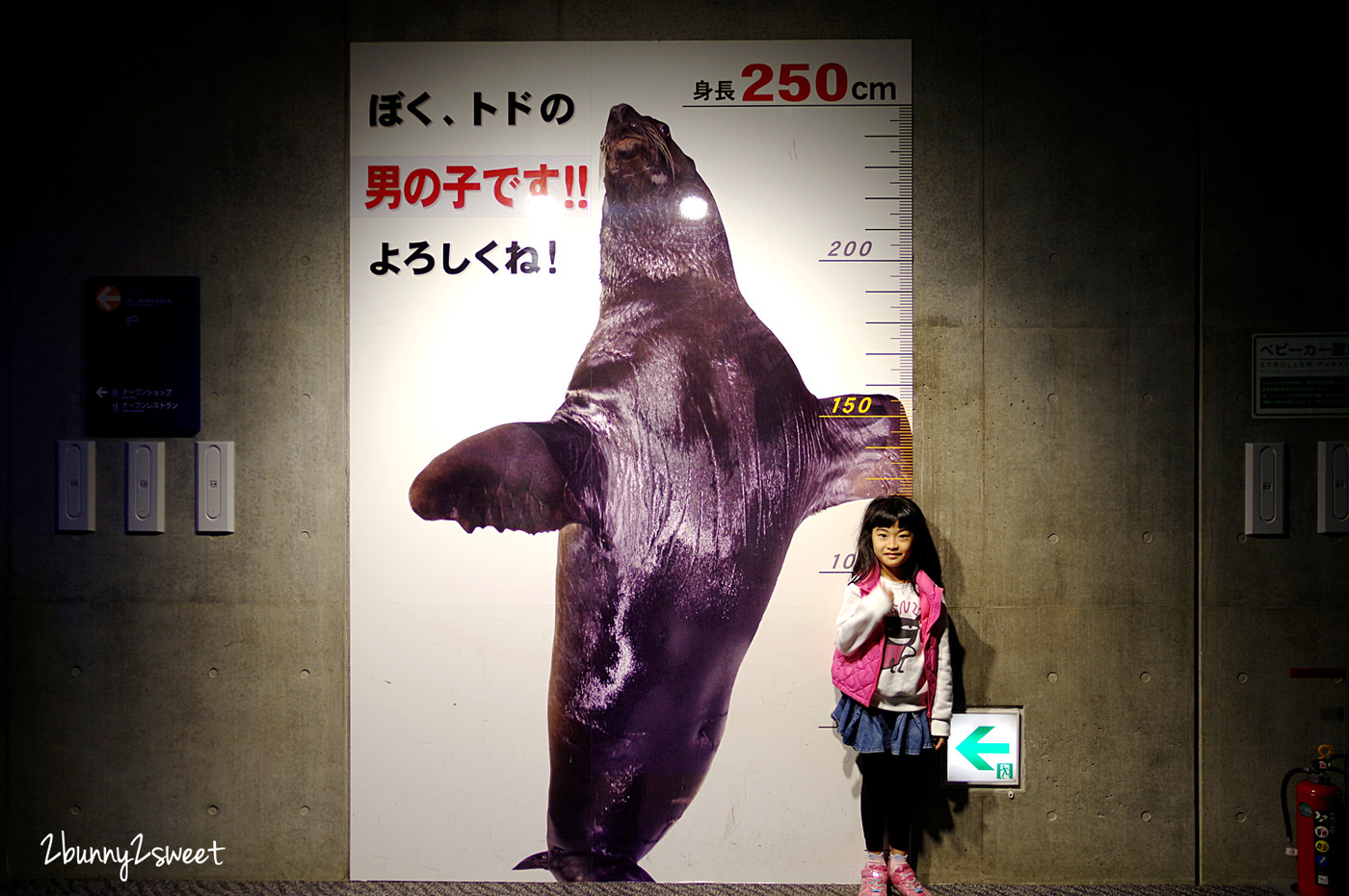 九州大分景點「大分海洋宮殿水族館 海之卵」超酷白色蛋形展覽廳 還能和海洋生物玩在一起 @兔兒毛毛姊妹花 九州大分景點「大分海洋宮殿水族館 海之卵」超酷白色蛋形展覽廳 還能和海洋生物玩在一起 @兔兒毛毛姊妹花