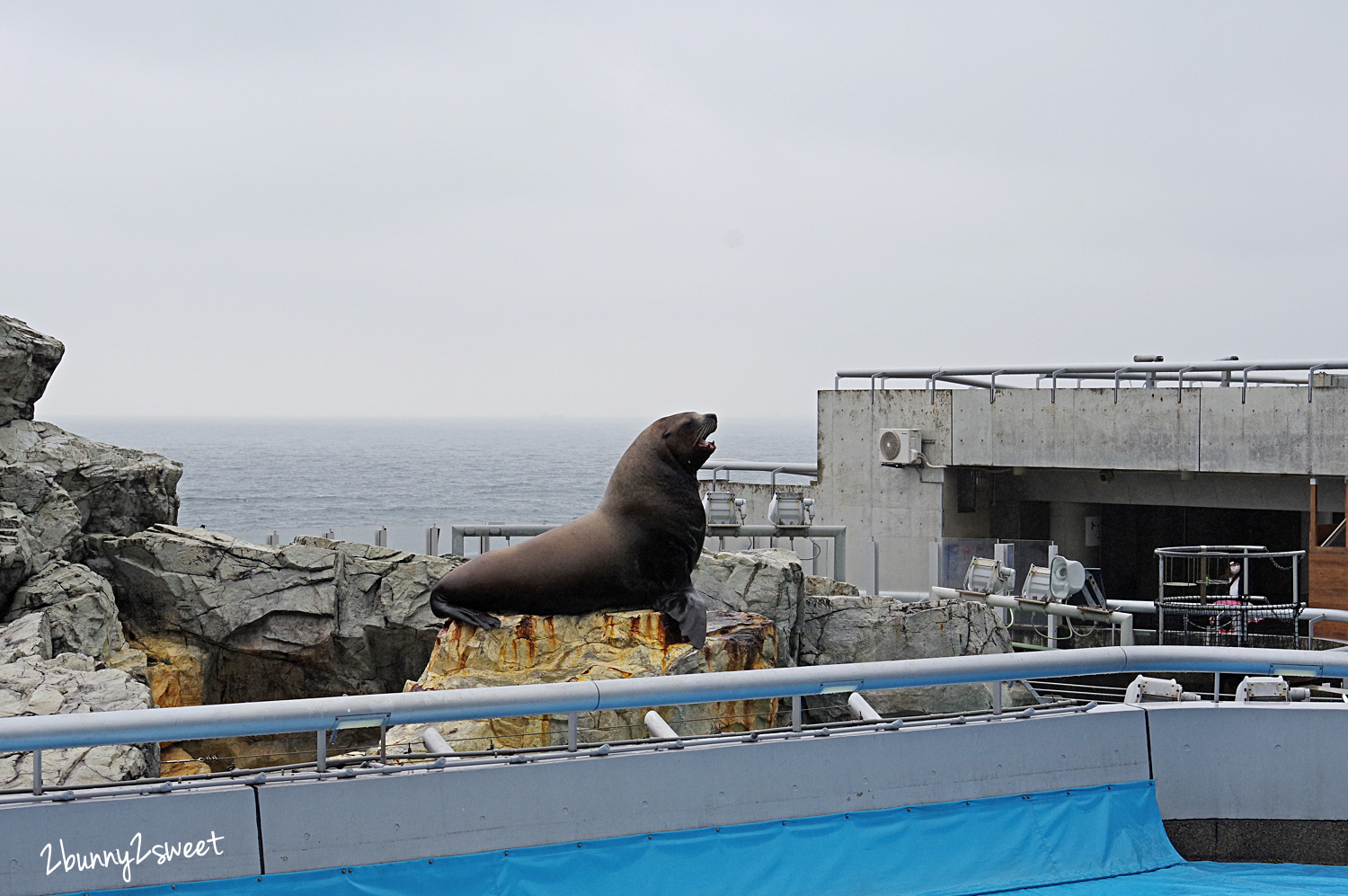 九州大分景點「大分海洋宮殿水族館 海之卵」超酷白色蛋形展覽廳 還能和海洋生物玩在一起 @兔兒毛毛姊妹花 九州大分景點「大分海洋宮殿水族館 海之卵」超酷白色蛋形展覽廳 還能和海洋生物玩在一起 @兔兒毛毛姊妹花