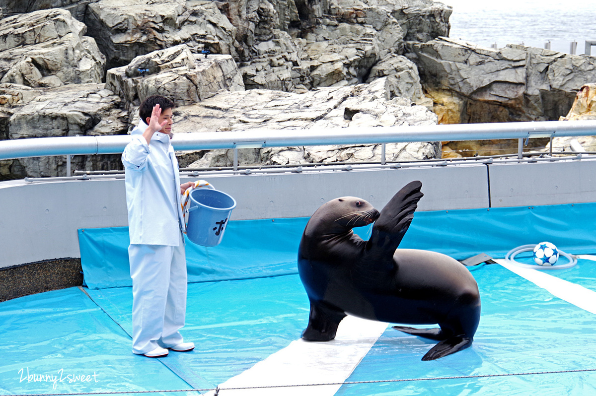 九州大分景點「大分海洋宮殿水族館 海之卵」超酷白色蛋形展覽廳 還能和海洋生物玩在一起 @兔兒毛毛姊妹花 九州大分景點「大分海洋宮殿水族館 海之卵」超酷白色蛋形展覽廳 還能和海洋生物玩在一起 @兔兒毛毛姊妹花