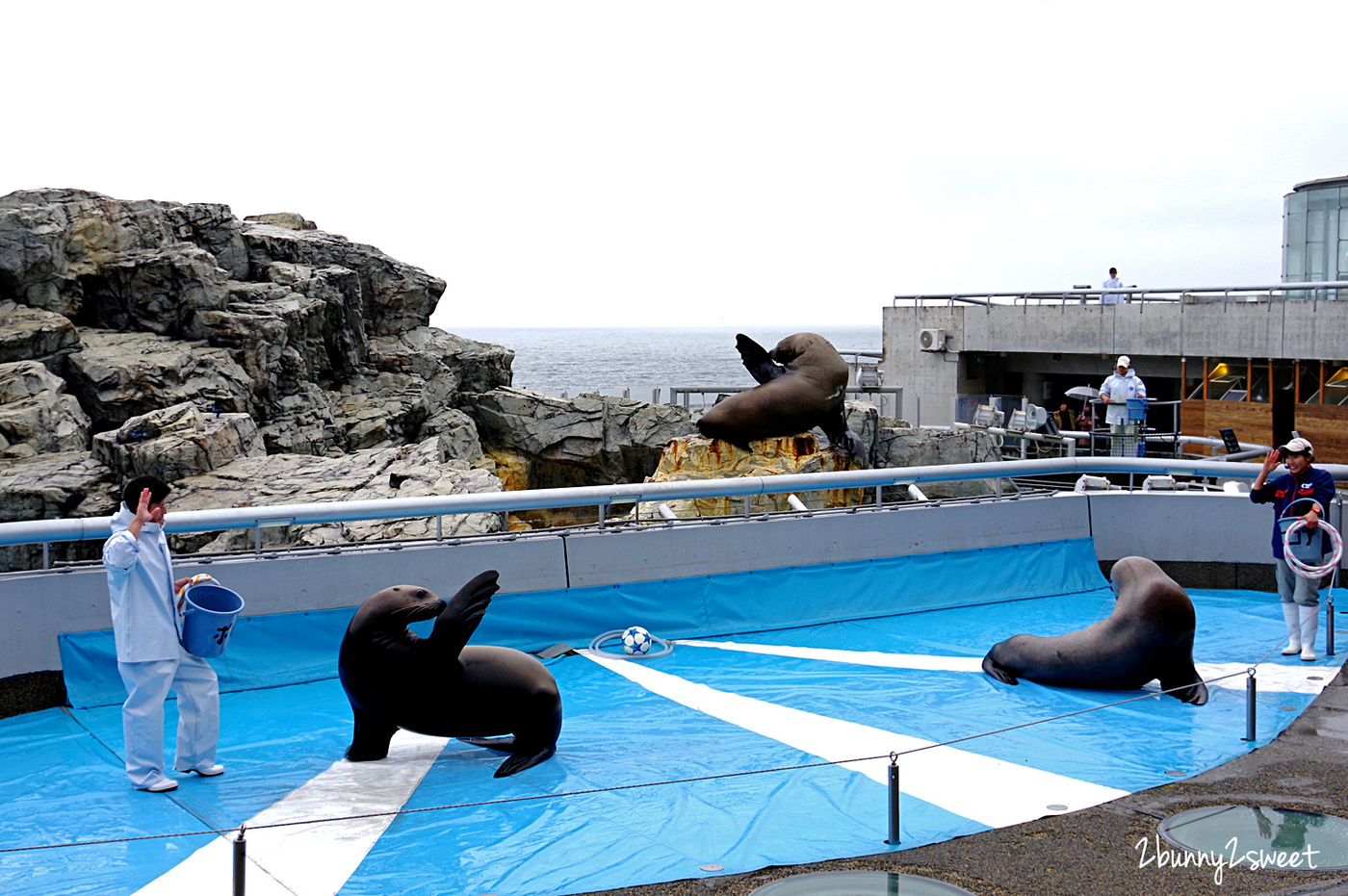 九州大分景點「大分海洋宮殿水族館 海之卵」超酷白色蛋形展覽廳 還能和海洋生物玩在一起 @兔兒毛毛姊妹花 九州大分景點「大分海洋宮殿水族館 海之卵」超酷白色蛋形展覽廳 還能和海洋生物玩在一起 @兔兒毛毛姊妹花