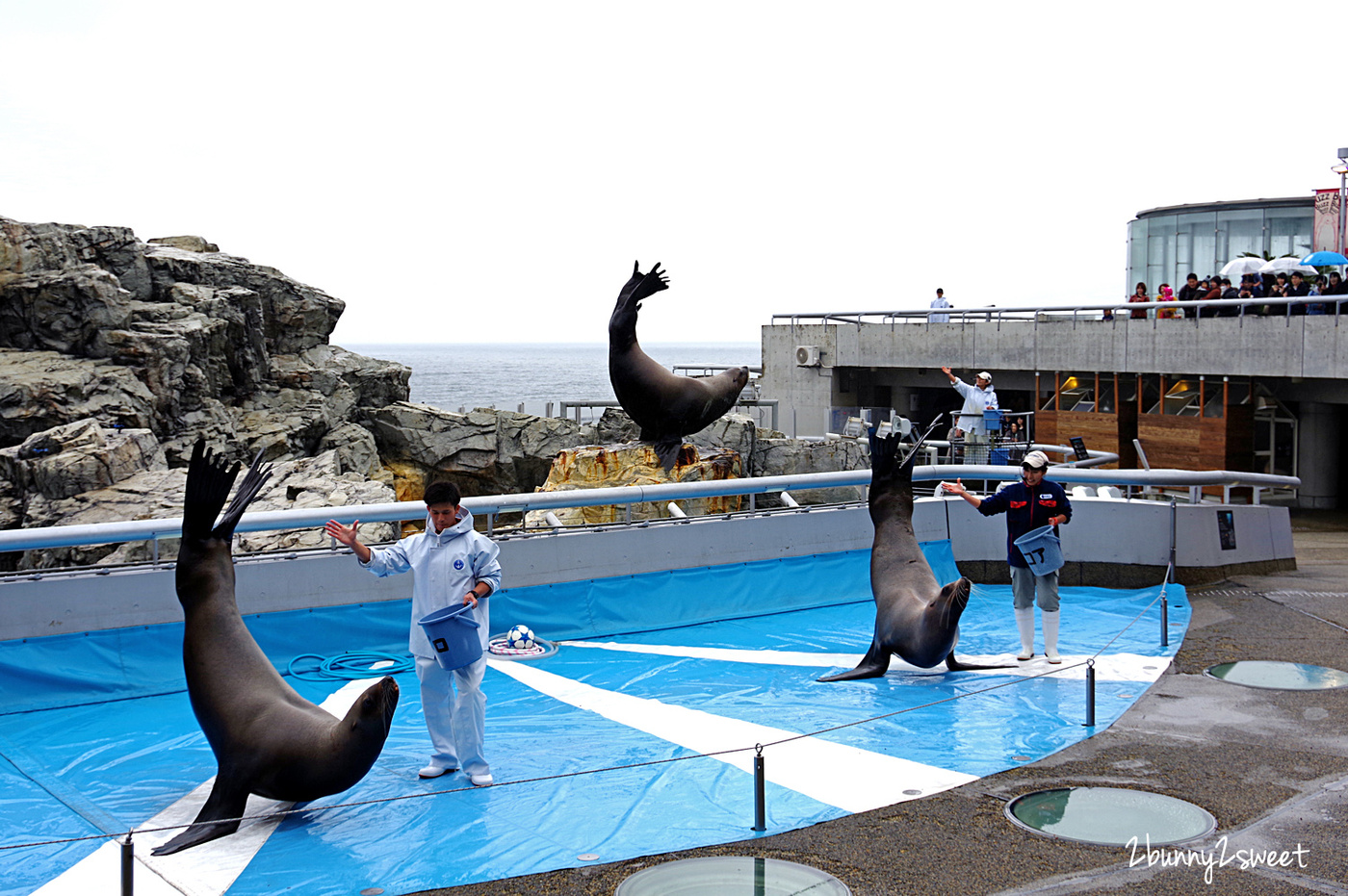 九州大分景點「大分海洋宮殿水族館 海之卵」超酷白色蛋形展覽廳 還能和海洋生物玩在一起 @兔兒毛毛姊妹花 九州大分景點「大分海洋宮殿水族館 海之卵」超酷白色蛋形展覽廳 還能和海洋生物玩在一起 @兔兒毛毛姊妹花