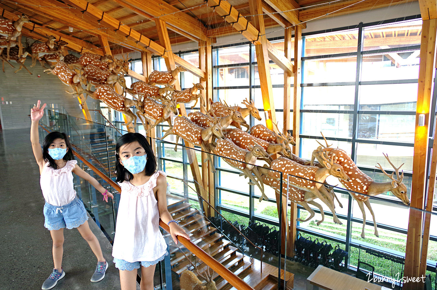 【臺南左鎮化石園區】台南親子景點|全台最大化石博物館,恐龍、5大展館+門票攻略 @兔兒毛毛姊妹花 【臺南左鎮化石園區】台南親子景點|全台最大化石博物館,恐龍、5大展館+門票攻略 @兔兒毛毛姊妹花