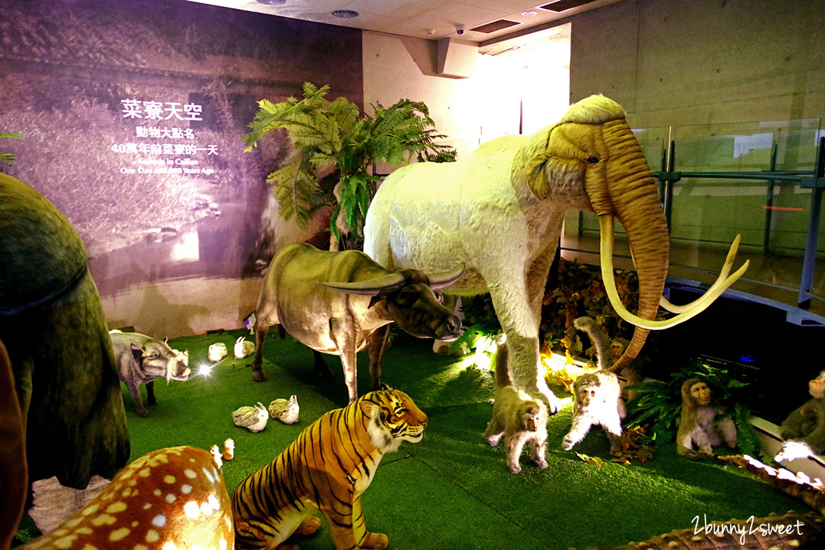 【臺南左鎮化石園區】台南親子景點|全台最大化石博物館,恐龍、5大展館+門票攻略 @兔兒毛毛姊妹花 【臺南左鎮化石園區】台南親子景點|全台最大化石博物館,恐龍、5大展館+門票攻略 @兔兒毛毛姊妹花