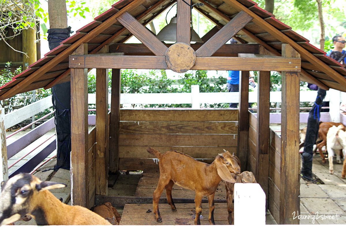 【樹谷農場】台南新市高CP值親子農場:80元門票餵動物、樹屋溜滑梯與假日開放時間攻略 @兔兒毛毛姊妹花 【樹谷農場】台南新市高CP值親子農場:80元門票餵動物、樹屋溜滑梯與假日開放時間攻略 @兔兒毛毛姊妹花