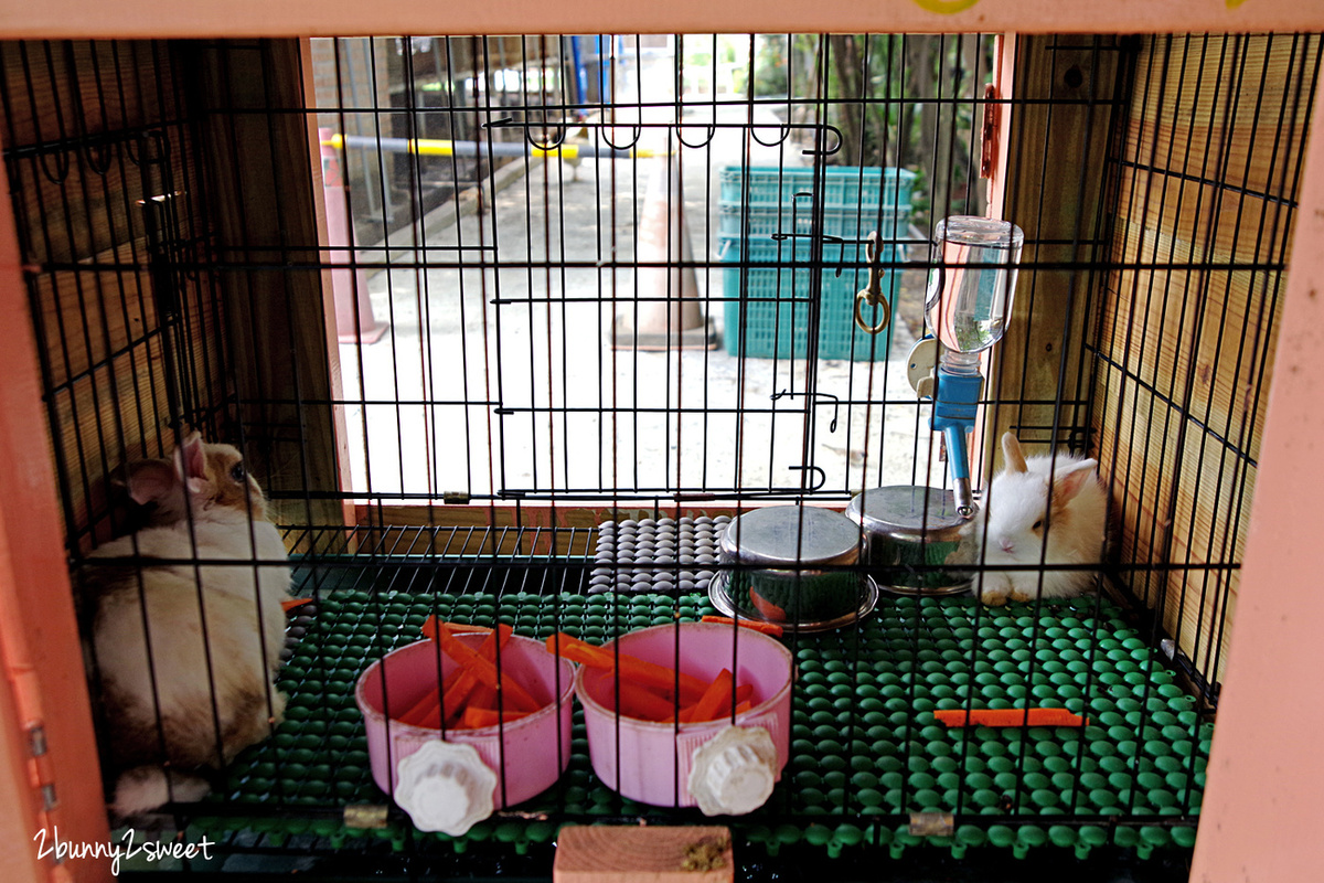 【樹谷農場】台南新市高CP值親子農場:80元門票餵動物、樹屋溜滑梯與假日開放時間攻略 @兔兒毛毛姊妹花 【樹谷農場】台南新市高CP值親子農場:80元門票餵動物、樹屋溜滑梯與假日開放時間攻略 @兔兒毛毛姊妹花