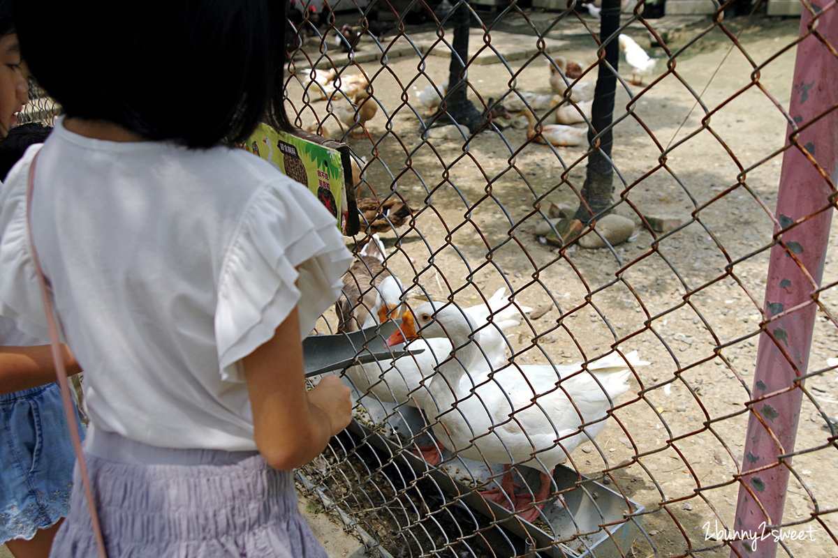 【樹谷農場】台南新市高CP值親子農場:80元門票餵動物、樹屋溜滑梯與假日開放時間攻略 @兔兒毛毛姊妹花 【樹谷農場】台南新市高CP值親子農場:80元門票餵動物、樹屋溜滑梯與假日開放時間攻略 @兔兒毛毛姊妹花