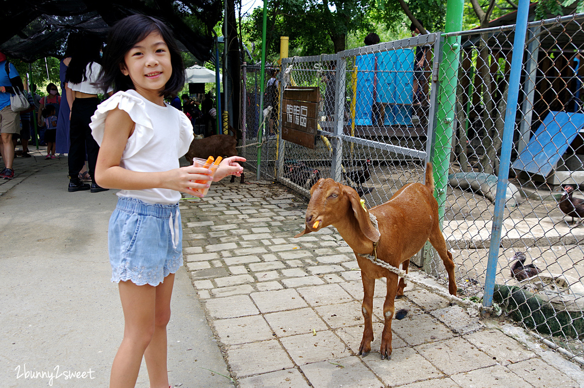 【樹谷農場】台南新市高CP值親子農場:80元門票餵動物、樹屋溜滑梯與假日開放時間攻略 @兔兒毛毛姊妹花 【樹谷農場】台南新市高CP值親子農場:80元門票餵動物、樹屋溜滑梯與假日開放時間攻略 @兔兒毛毛姊妹花