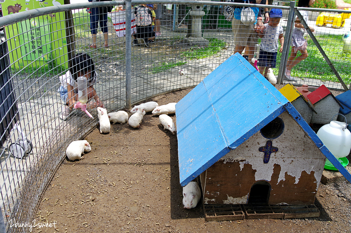【樹谷農場】台南新市高CP值親子農場:80元門票餵動物、樹屋溜滑梯與假日開放時間攻略 @兔兒毛毛姊妹花 【樹谷農場】台南新市高CP值親子農場:80元門票餵動物、樹屋溜滑梯與假日開放時間攻略 @兔兒毛毛姊妹花