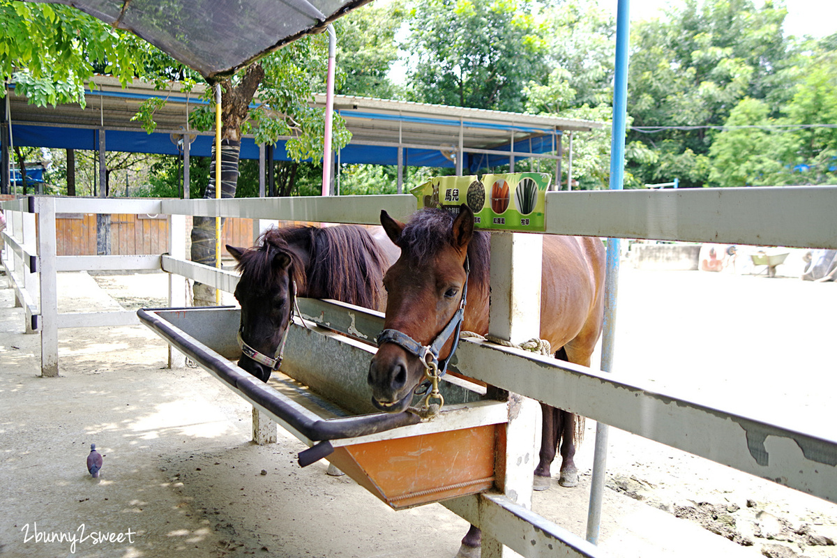 【樹谷農場】台南新市高CP值親子農場:80元門票餵動物、樹屋溜滑梯與假日開放時間攻略 @兔兒毛毛姊妹花 【樹谷農場】台南新市高CP值親子農場:80元門票餵動物、樹屋溜滑梯與假日開放時間攻略 @兔兒毛毛姊妹花