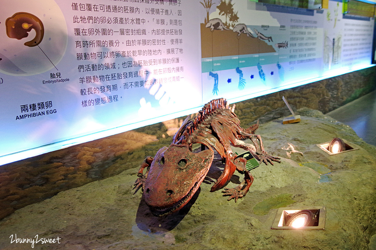 【樹谷生活科學館】台南親子景點推薦|80元看恐龍、長毛象!互動遊戲+雨天室內景點 @兔兒毛毛姊妹花 【樹谷生活科學館】台南親子景點推薦|80元看恐龍、長毛象!互動遊戲+雨天室內景點 @兔兒毛毛姊妹花