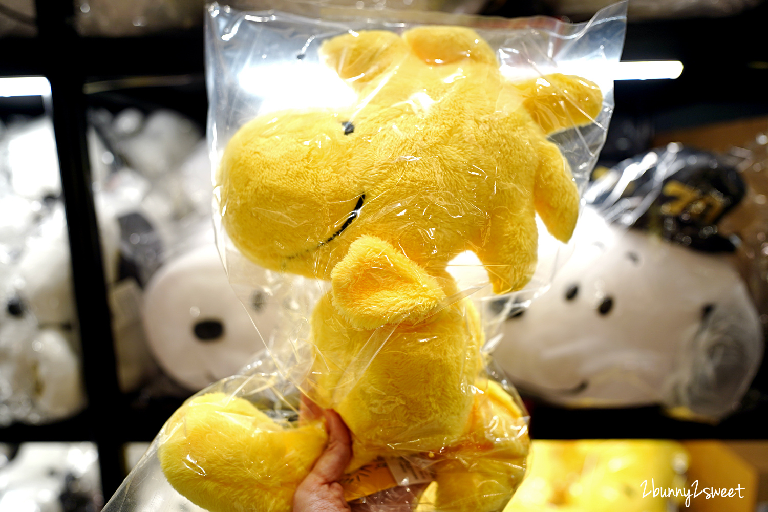 史努比特展》PEANUTS 花生漫畫 70 週年巡迴展 台北最終場~SNOOPY 巨型扭蛋機、獨家限量版商品、超可愛拍照打卡場景~完全免費參觀!! @兔兒毛毛姊妹花 史努比特展》PEANUTS 花生漫畫 70 週年巡迴展 台北最終場~SNOOPY 巨型扭蛋機、獨家限量版商品、超可愛拍照打卡場景~完全免費參觀!! @兔兒毛毛姊妹花