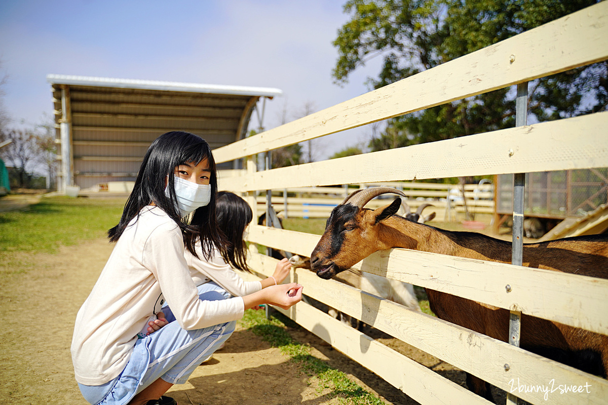 新竹親子餐廳》愛家農場~大沙坑、大草皮、小火車,還可以看孔雀、餵魚、餵羊咩咩~適合親子放風的景觀餐廳|新竹美食推薦 @兔兒毛毛姊妹花 新竹親子餐廳》愛家農場~大沙坑、大草皮、小火車,還可以看孔雀、餵魚、餵羊咩咩~適合親子放風的景觀餐廳|新竹美食推薦 @兔兒毛毛姊妹花