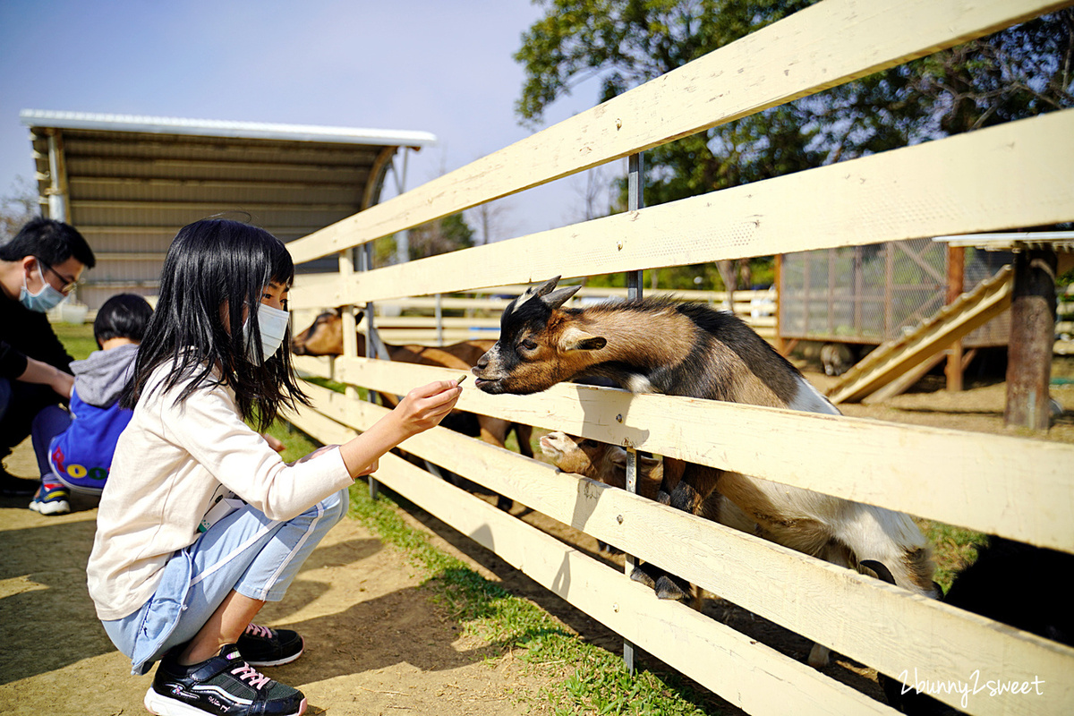 新竹親子餐廳》愛家農場~大沙坑、大草皮、小火車,還可以看孔雀、餵魚、餵羊咩咩~適合親子放風的景觀餐廳|新竹美食推薦 @兔兒毛毛姊妹花 新竹親子餐廳》愛家農場~大沙坑、大草皮、小火車,還可以看孔雀、餵魚、餵羊咩咩~適合親子放風的景觀餐廳|新竹美食推薦 @兔兒毛毛姊妹花