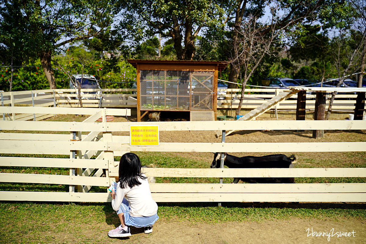 新竹親子餐廳》愛家農場~大沙坑、大草皮、小火車,還可以看孔雀、餵魚、餵羊咩咩~適合親子放風的景觀餐廳|新竹美食推薦 @兔兒毛毛姊妹花 新竹親子餐廳》愛家農場~大沙坑、大草皮、小火車,還可以看孔雀、餵魚、餵羊咩咩~適合親子放風的景觀餐廳|新竹美食推薦 @兔兒毛毛姊妹花