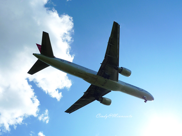 Next Plane Home @兔兒毛毛姊妹花 Next Plane Home @兔兒毛毛姊妹花