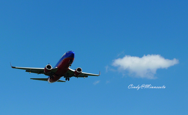 Next Plane Home @兔兒毛毛姊妹花 Next Plane Home @兔兒毛毛姊妹花