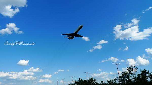 Next Plane Home @兔兒毛毛姊妹花 Next Plane Home @兔兒毛毛姊妹花