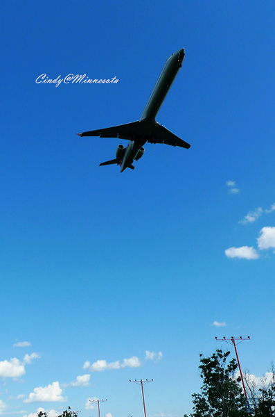 Next Plane Home @兔兒毛毛姊妹花 Next Plane Home @兔兒毛毛姊妹花