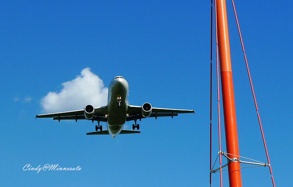 Next Plane Home @兔兒毛毛姊妹花 Next Plane Home @兔兒毛毛姊妹花