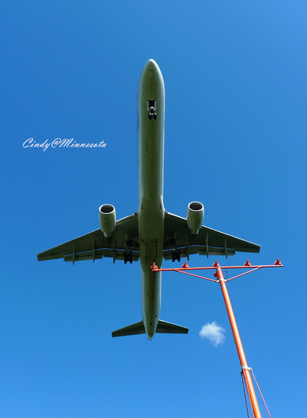 Next Plane Home @兔兒毛毛姊妹花 Next Plane Home @兔兒毛毛姊妹花