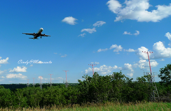 Next Plane Home @兔兒毛毛姊妹花 Next Plane Home @兔兒毛毛姊妹花