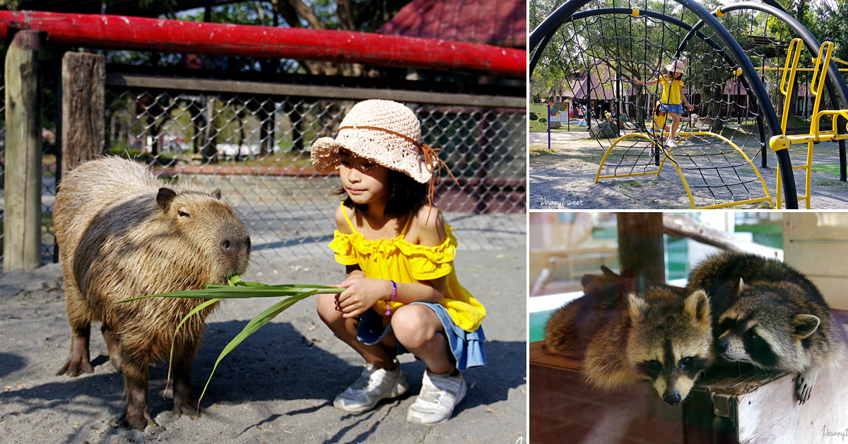 台南親子景點》頑皮世界野生動物園～近距離餵食水豚，一次看到300多種野生動物，還能玩遊樂園大型設施～南台灣最大野生動物園｜水豚互動體驗預約方式&價格 @兔兒毛毛姊妹花