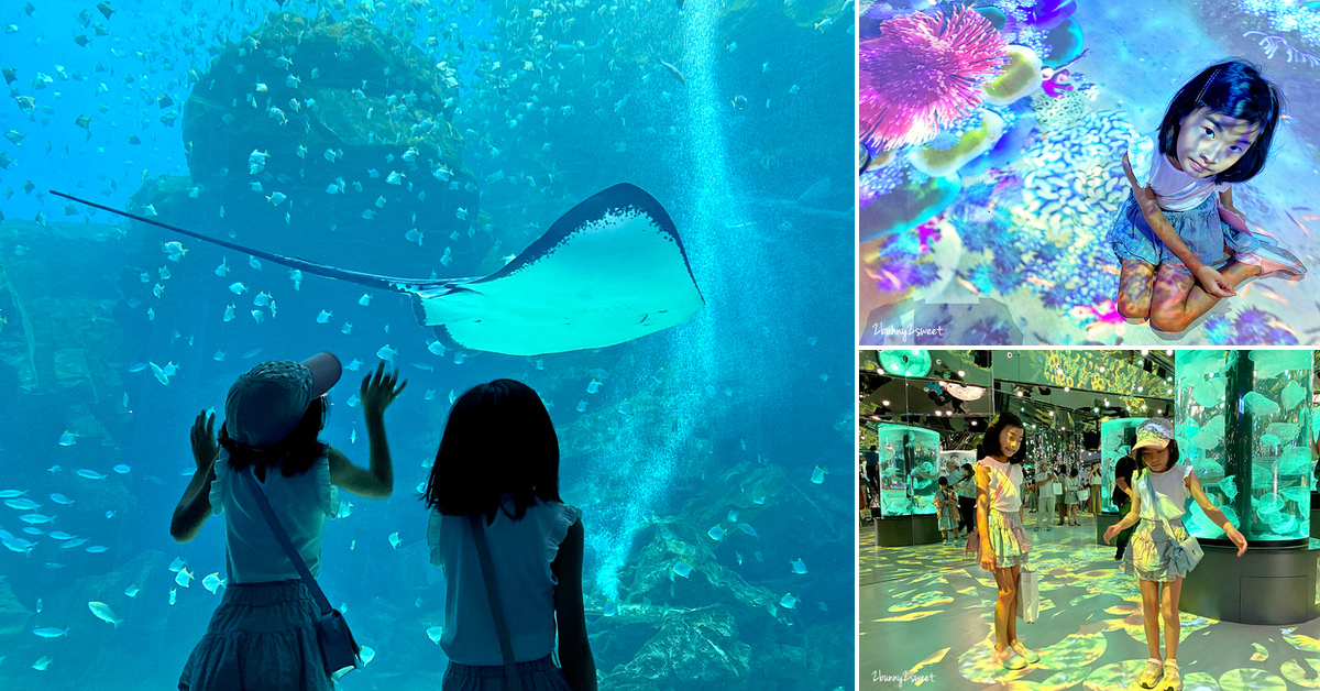 【Xpark 水族館】桃園親子景點｜日本橫濱八景島打造，企鵝、水母、互動展區一次玩 @兔兒毛毛姊妹花