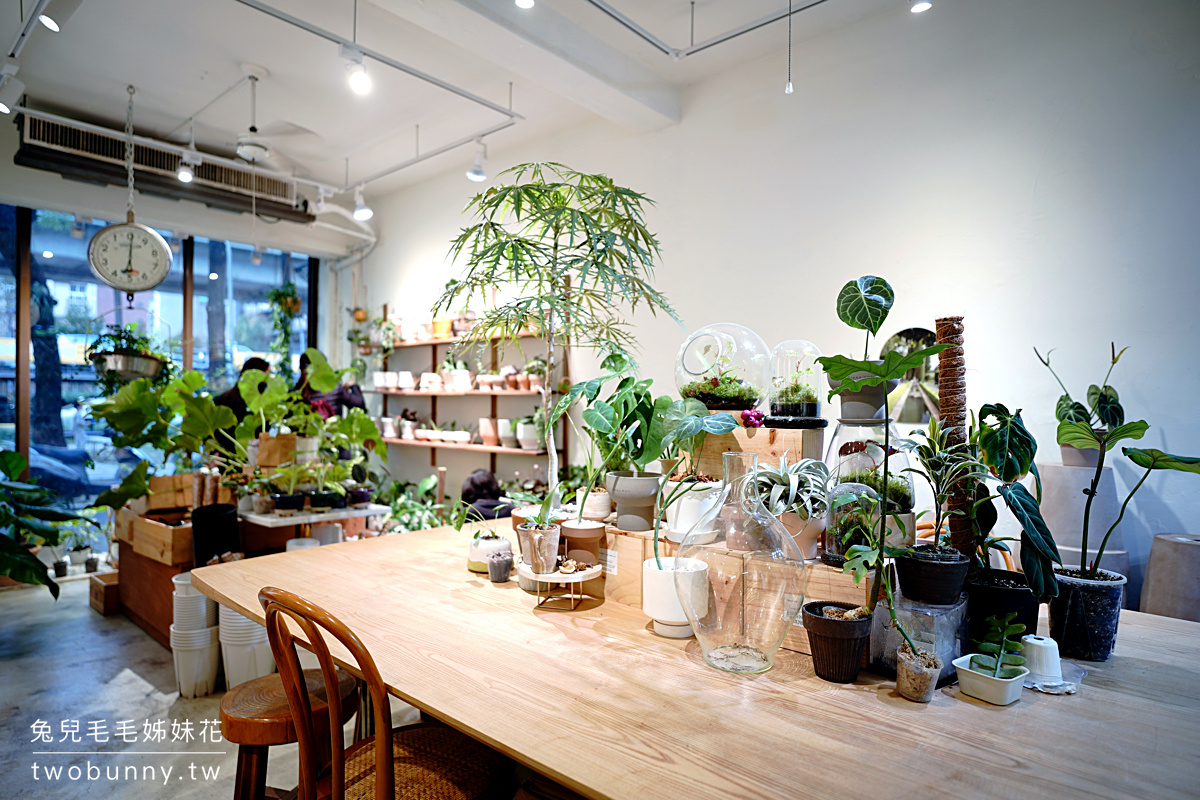 新竹植物店》grow_root_grow~咖哩番不賣餐,變身質感觀葉植物專賣店,介質、盆器、植物都有賣 @兔兒毛毛姊妹花 新竹植物店》grow_root_grow~咖哩番不賣餐,變身質感觀葉植物專賣店,介質、盆器、植物都有賣 @兔兒毛毛姊妹花