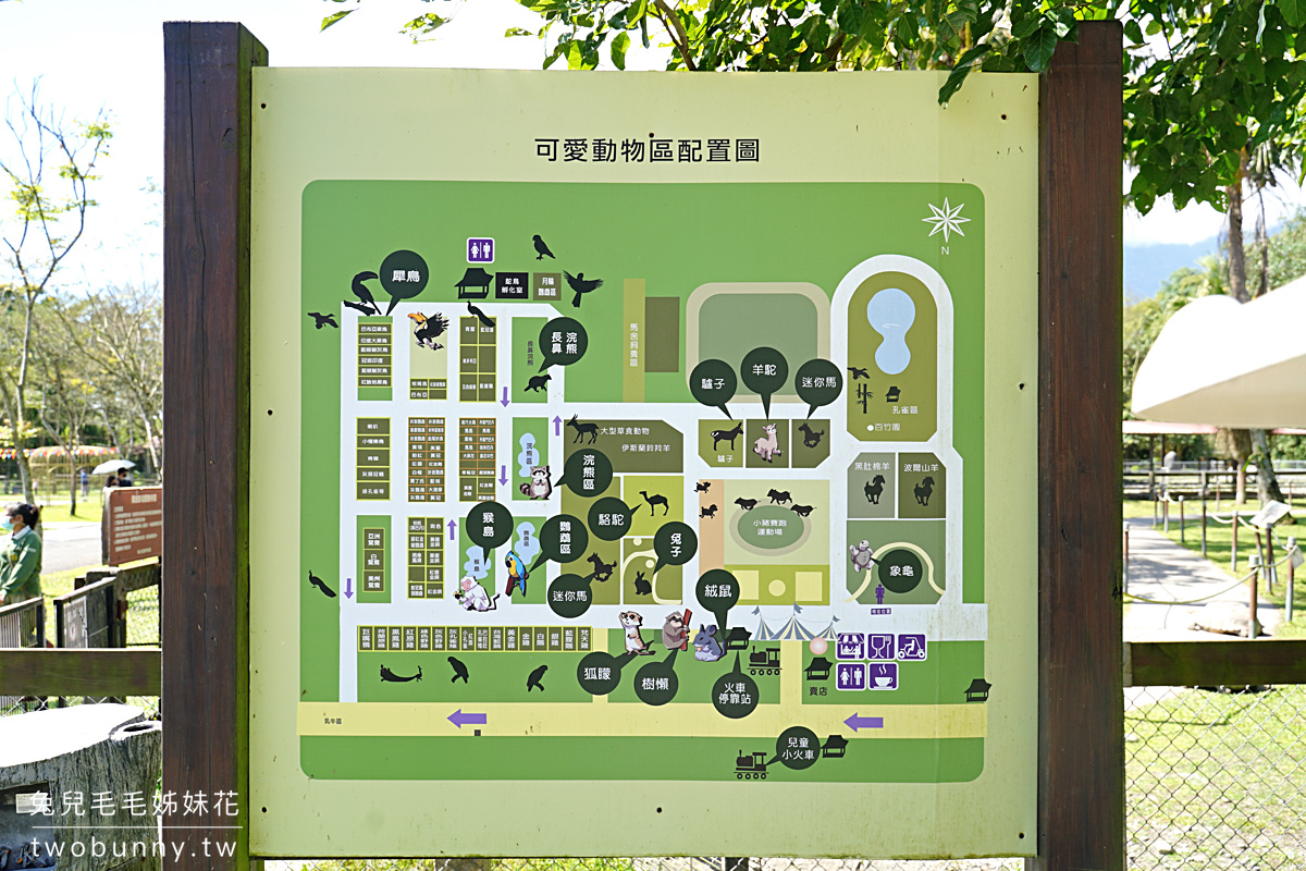 花蓮親子景點》新光兆豐農場～看浣熊、餵動物、遊樂設施放電～花東縱谷親子悠閒放風好去處 @兔兒毛毛姊妹花