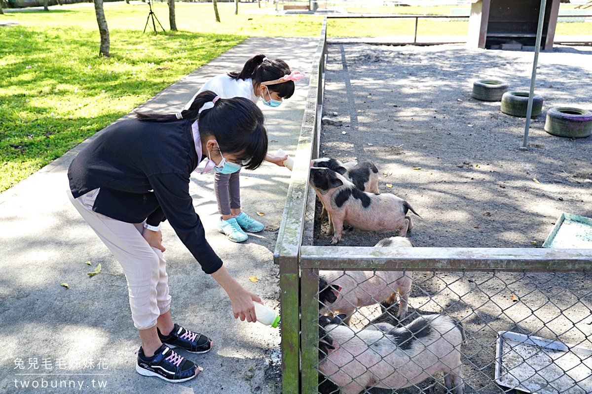 花蓮親子景點》新光兆豐農場～看浣熊、餵動物、遊樂設施放電～花東縱谷親子悠閒放風好去處 @兔兒毛毛姊妹花