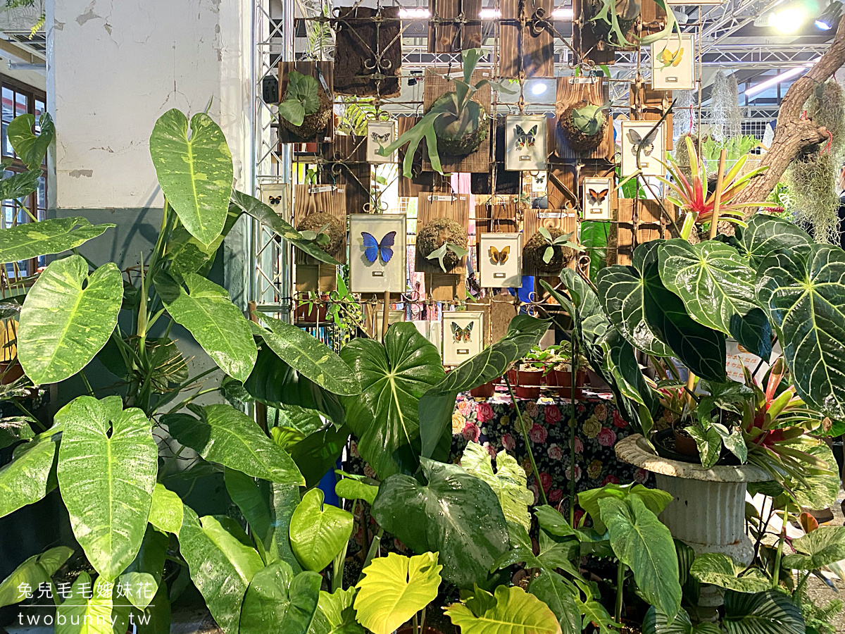 台北植物市集》台灣第一植物界 大型植物展覽市集，一次逛 60 家植物質感品牌 @兔兒毛毛姊妹花