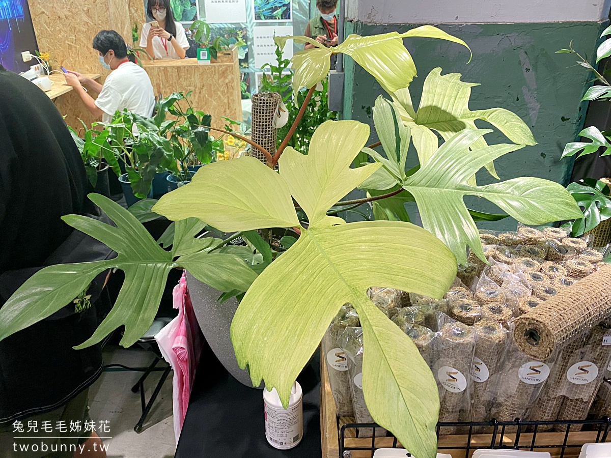 台北植物市集》台灣第一植物界 大型植物展覽市集，一次逛 60 家植物質感品牌 @兔兒毛毛姊妹花