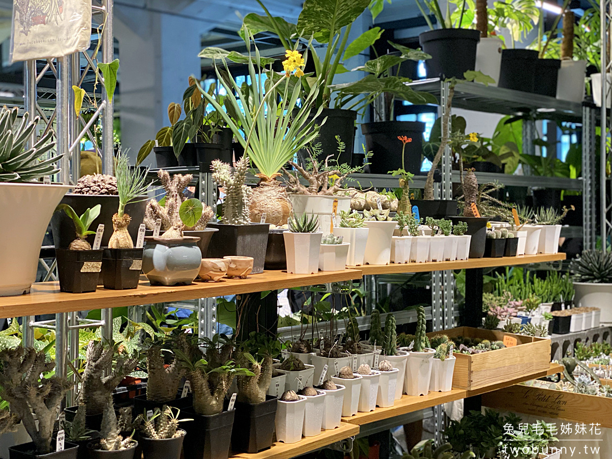 台北植物市集》台灣第一植物界 大型植物展覽市集，一次逛 60 家植物質感品牌 @兔兒毛毛姊妹花