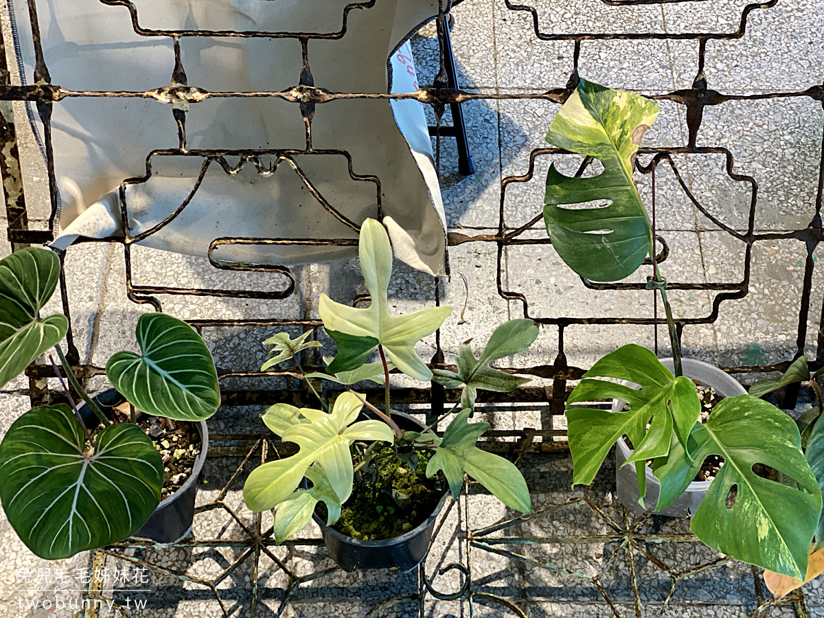 台北植物市集》台灣第一植物界 大型植物展覽市集，一次逛 60 家植物質感品牌 @兔兒毛毛姊妹花