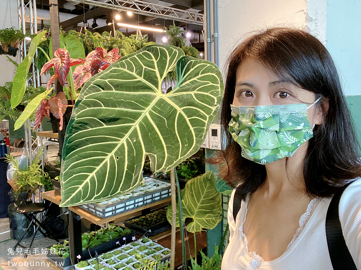 台北植物市集》台灣第一植物界 大型植物展覽市集，一次逛 60 家植物質感品牌 @兔兒毛毛姊妹花