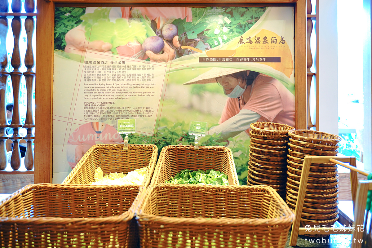 台東親子飯店》鹿鳴溫泉酒店~ 擁有絕美山景、療癒美人湯的度假村,台東熱氣球嘉年華住宿推薦 @兔兒毛毛姊妹花 台東親子飯店》鹿鳴溫泉酒店~ 擁有絕美山景、療癒美人湯的度假村,台東熱氣球嘉年華住宿推薦 @兔兒毛毛姊妹花