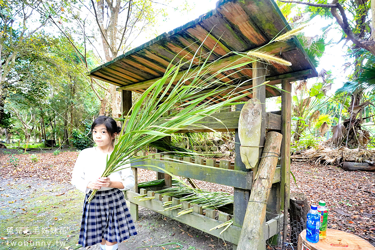 【鈺展苗圃落羽松森林】花蓮壽豐如莫內睡蓮池般夢幻的落羽松森林秘境，還能餵魚、餵牛 @兔兒毛毛姊妹花