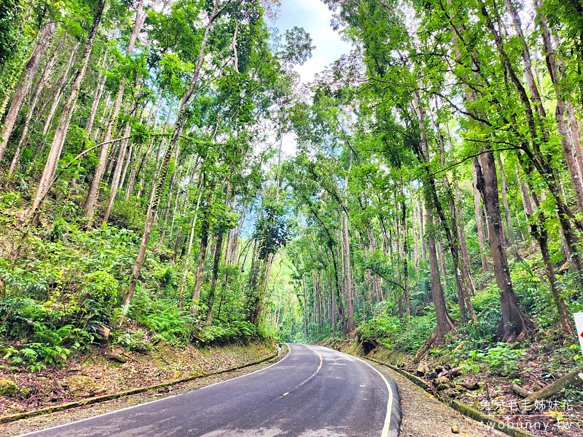 【薄荷島景點】TOP 10 必去景點推薦!巧克力山、眼鏡猴、巴里卡薩島跳島浮潛 @兔兒毛毛姊妹花