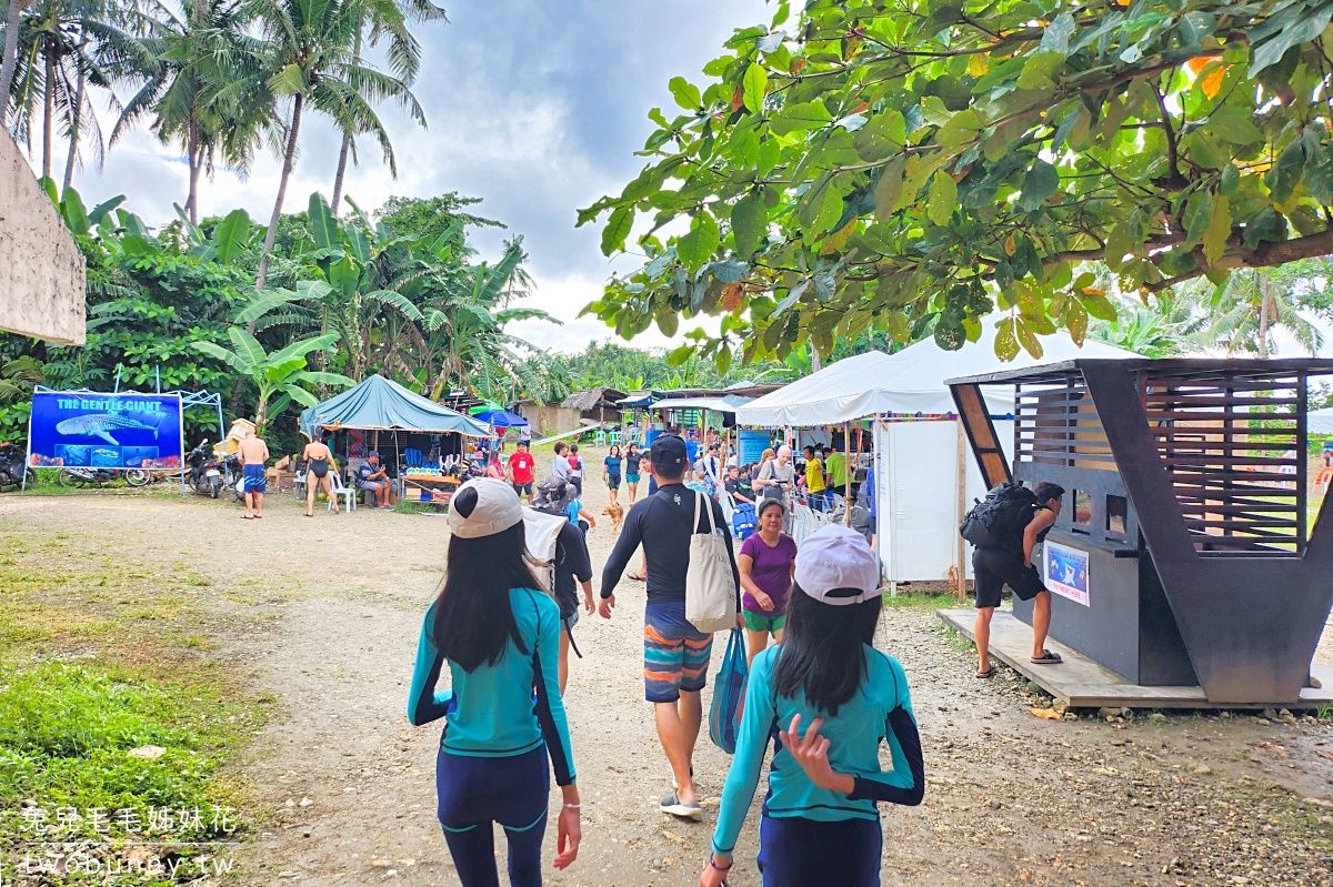薄荷島景點》萊拉鯨鯊共游 LILA Taug Whaleshark Watching and Snorkeling~全新薄荷島鯨鯊村 @兔兒毛毛姊妹花