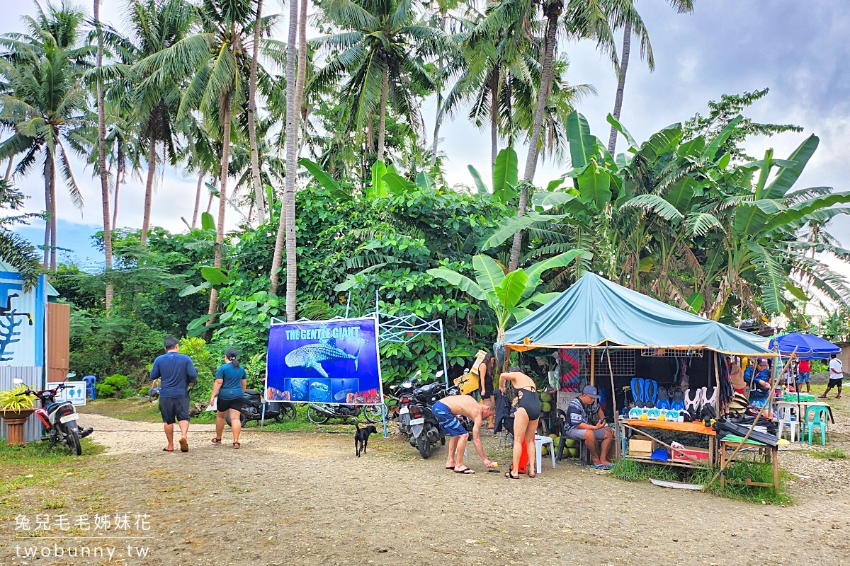 薄荷島景點》萊拉鯨鯊共游 LILA Taug Whaleshark Watching and Snorkeling~全新薄荷島鯨鯊村 @兔兒毛毛姊妹花