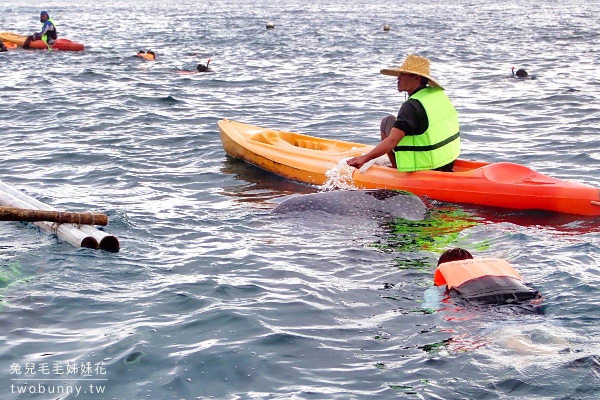 薄荷島景點》萊拉鯨鯊共游 LILA Taug Whaleshark Watching and Snorkeling~全新薄荷島鯨鯊村 @兔兒毛毛姊妹花