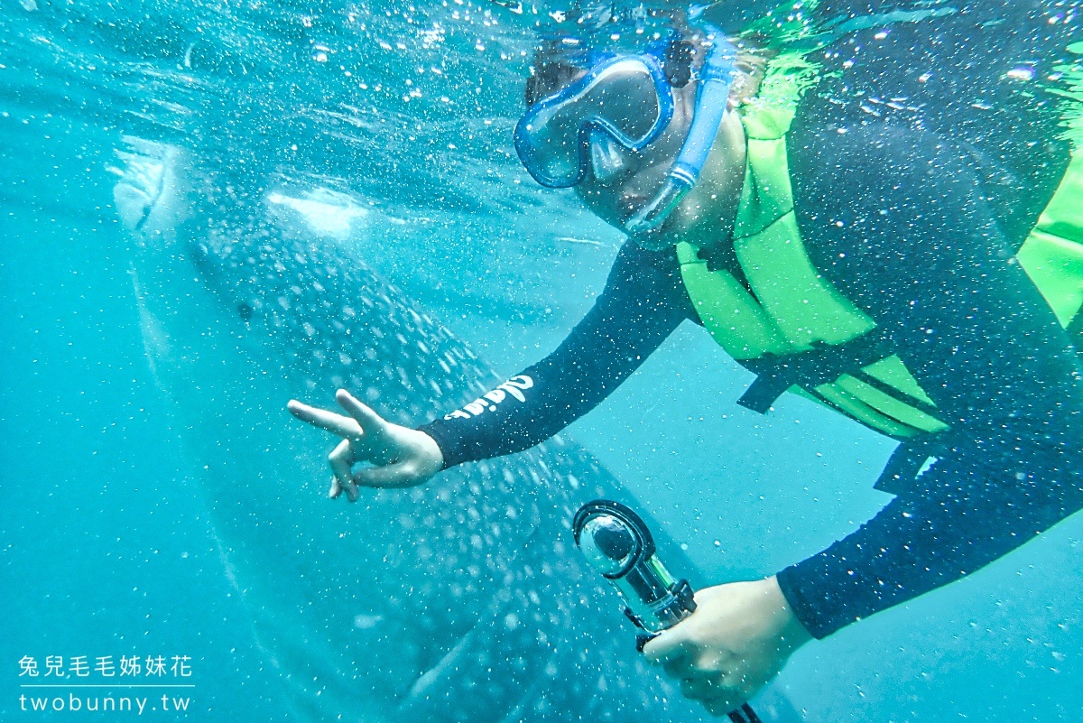 薄荷島景點》萊拉鯨鯊共游 LILA Taug Whaleshark Watching and Snorkeling~全新薄荷島鯨鯊村 @兔兒毛毛姊妹花