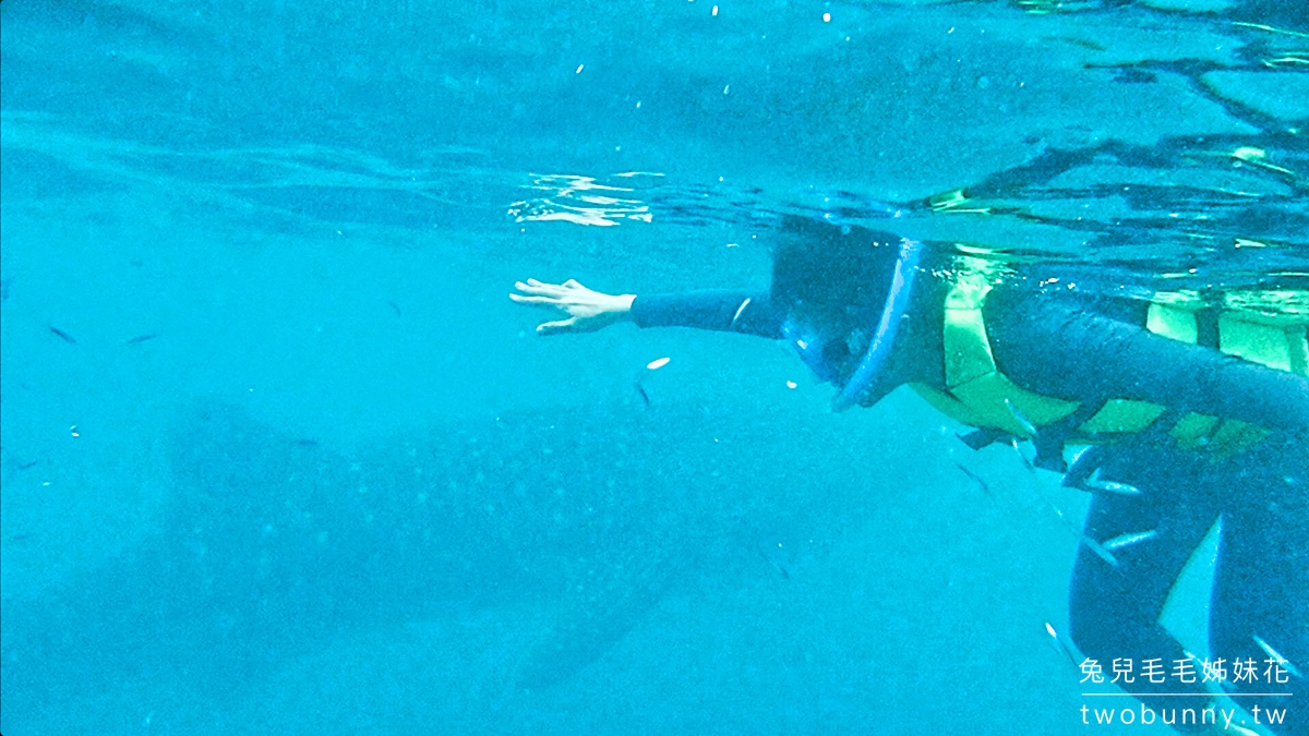薄荷島景點》萊拉鯨鯊共游 LILA Taug Whaleshark Watching and Snorkeling~全新薄荷島鯨鯊村 @兔兒毛毛姊妹花