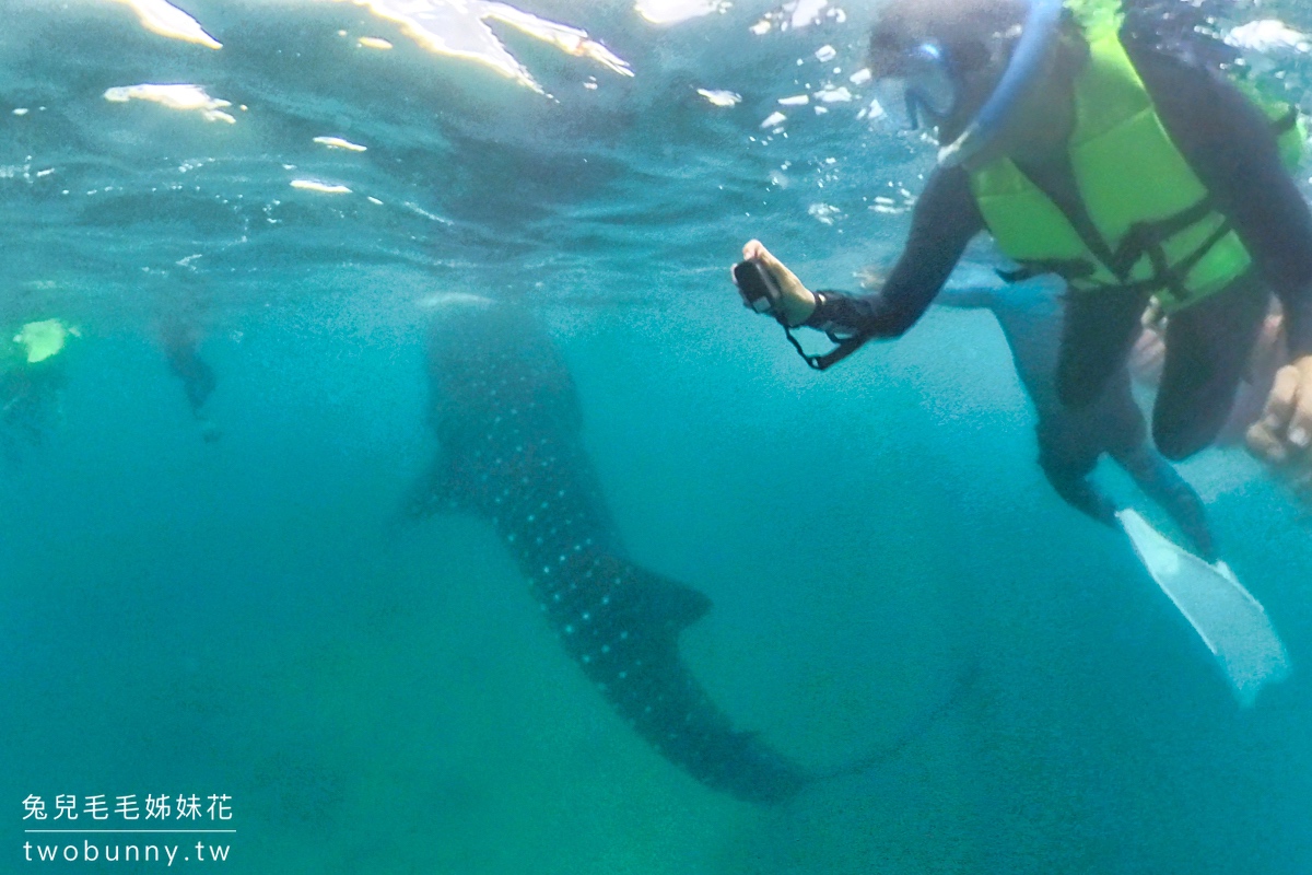 薄荷島景點》萊拉鯨鯊共游 LILA Taug Whaleshark Watching and Snorkeling~全新薄荷島鯨鯊村 @兔兒毛毛姊妹花