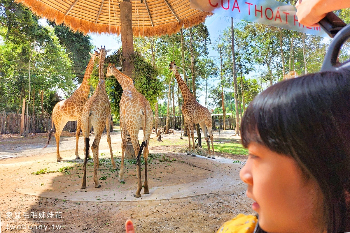 【富國島珍珠野生動物園 Vinpearl Safari Phu Quoc】門票、遊園車、餵食體驗全攻略 @兔兒毛毛姊妹花 【富國島珍珠野生動物園 Vinpearl Safari Phu Quoc】門票、遊園車、餵食體驗全攻略 @兔兒毛毛姊妹花