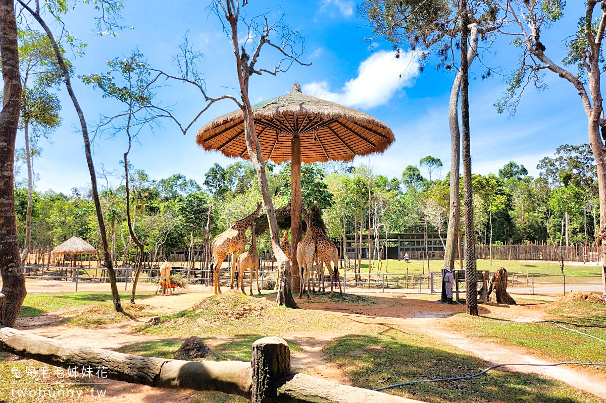 【富國島珍珠野生動物園 Vinpearl Safari Phu Quoc】門票、遊園車、餵食體驗全攻略 @兔兒毛毛姊妹花 【富國島珍珠野生動物園 Vinpearl Safari Phu Quoc】門票、遊園車、餵食體驗全攻略 @兔兒毛毛姊妹花